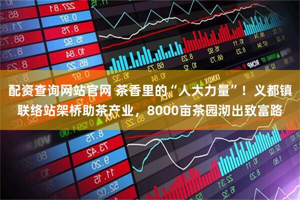 配资查询网站官网 茶香里的“人大力量”！义都镇联络站架桥助茶产业，8000亩茶园沏出致富路